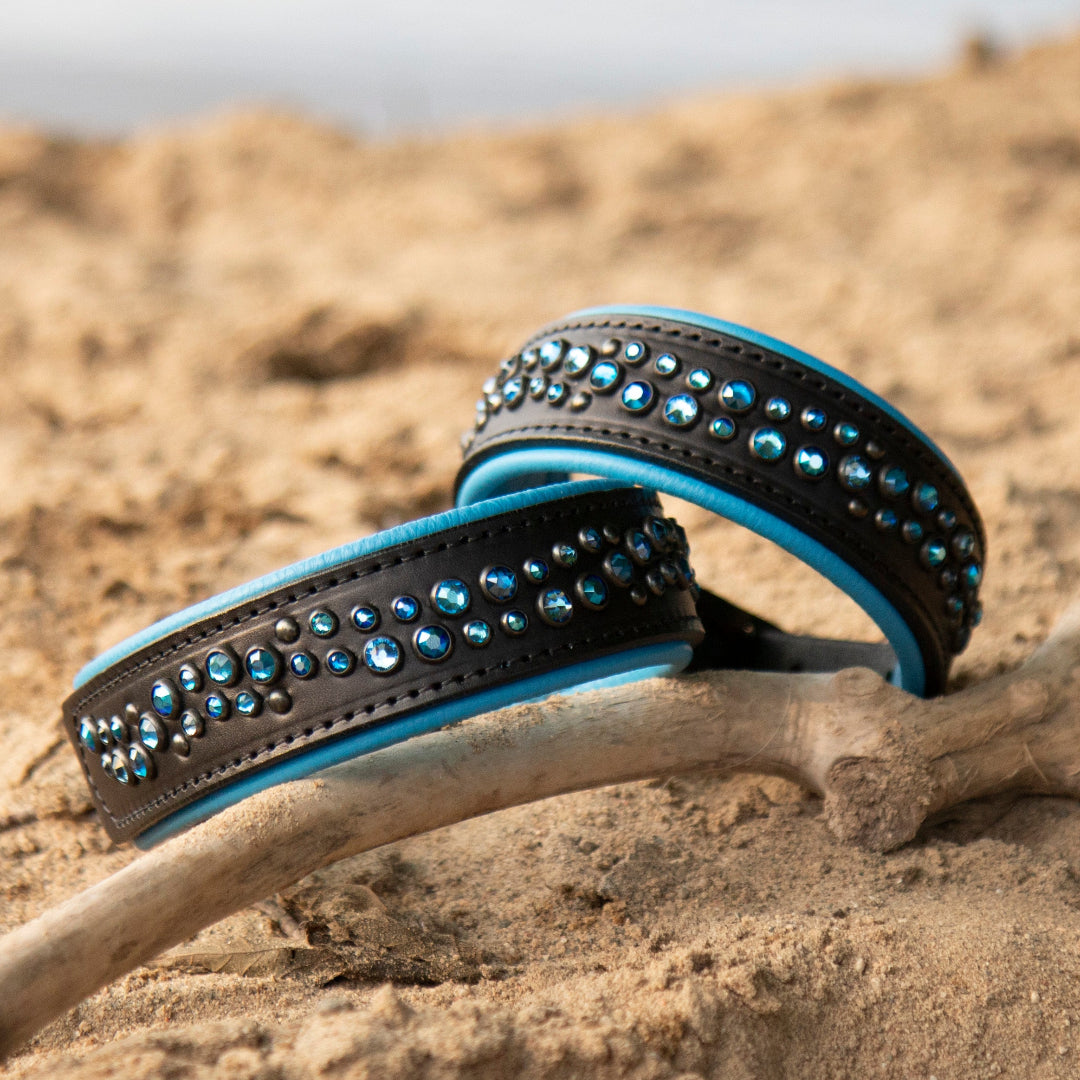 leather dog collars on the beach