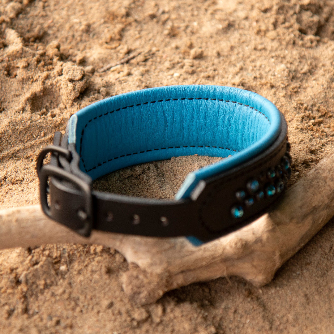 Blue and black dog collar on a sandy background