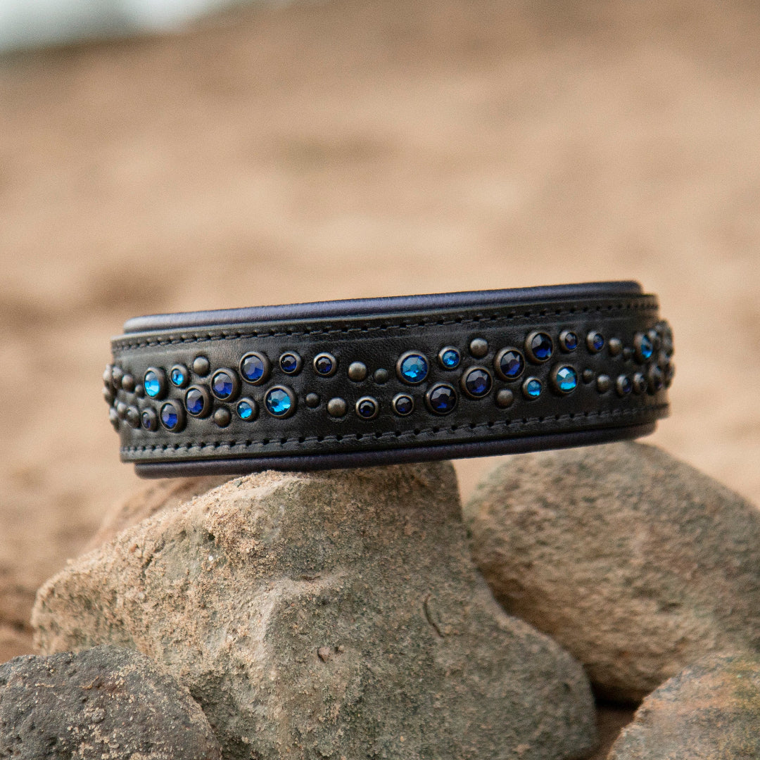 Black and Navy Blue Dog Collar on rocky beach background