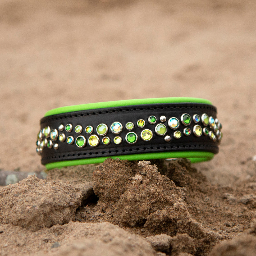 Green and Black Leather Dog Collar on Sandy Beach