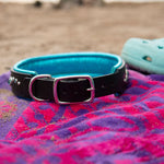 Black and teal dog collar on a colorful towel with light blue Crocs shoes in the background.