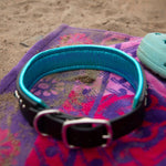 Padding detailed view of Teal and black dog collar on a colorful beach towel 