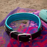 Padding detailed view of Teal and black dog collar on a colorful beach towel 