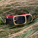 Starlight Leather Dog Collar, 1.5" wide Sunset on Black Leather