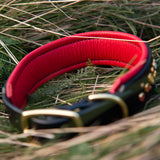 Starlight Leather Dog Collar, 1.5" wide Sunset on Black Leather