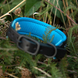 Little Aurora, 1.5" Wide Blues on Black Leather