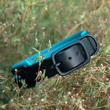 Starlight Leather Dog Collar, 1.5" wide Teals and Lime on Black Leather