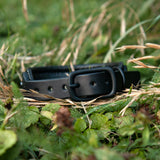 Starlight Leather Dog Collar, 1.5" wide