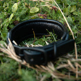 Starlight Leather Dog Collar, 1.5" wide