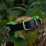 Starlight Leather Dog Collar, 1.5" wide Fall Whispers on Black Leather