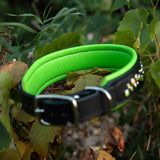 Starlight Leather Dog Collar, 1.5" wide Fall Whispers on Black Leather