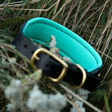 Little Aurora, 1.5" Wide Soft Mint and Pink on Black Leather