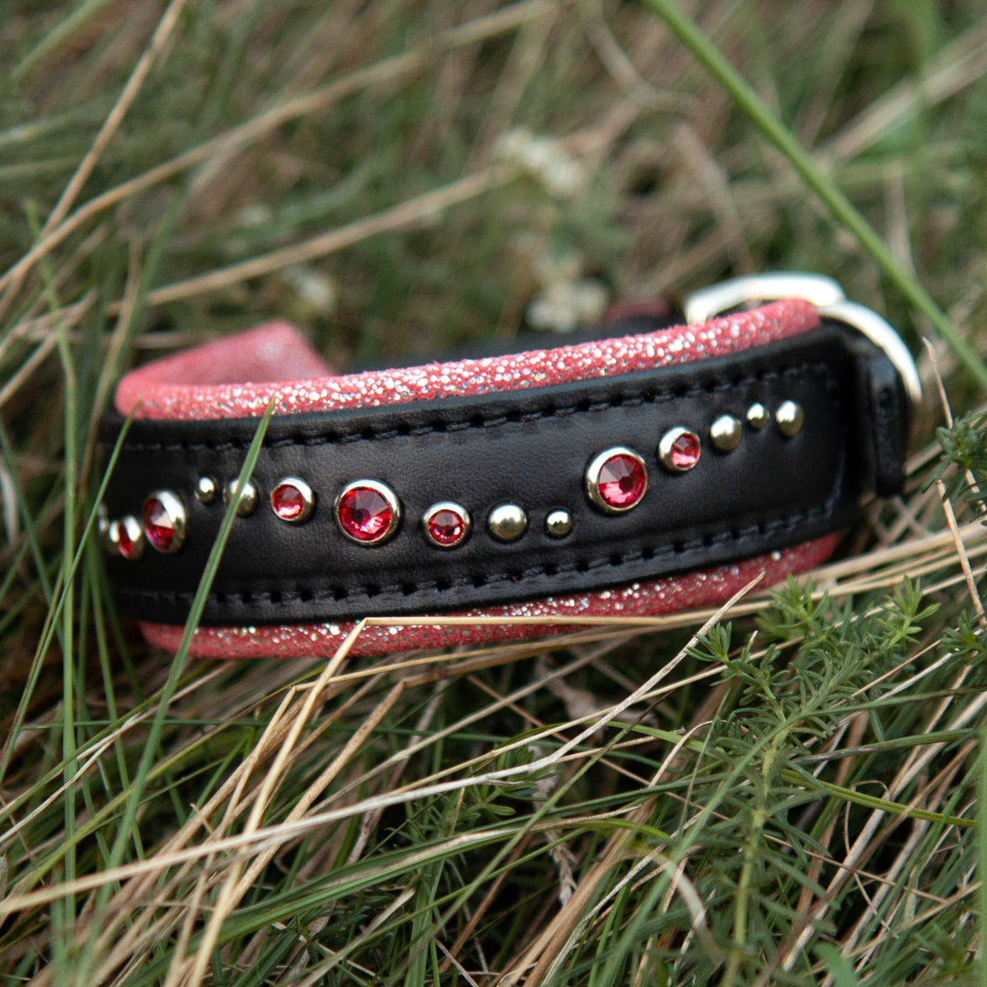 Black and red dog collar with gemstones on grass