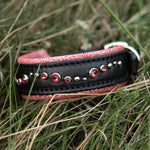 Black and red dog collar with gemstones on grass