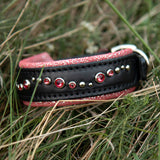 Black and red dog collar with gemstones on grass