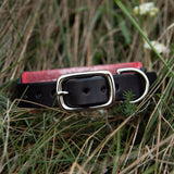 Chili Leather Dog Collar, 1.25" with Sparkle Padding