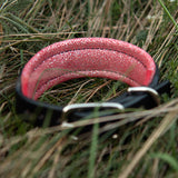 Chili Leather Dog Collar, 1.25" with Sparkle Padding