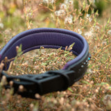 Phlyte, 1.5" wide