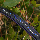 Chili Leather Dog Collar, 1.25" wide Rich Blues on Black