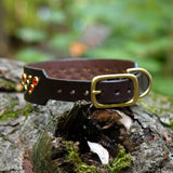 Rain, 1.25" Wide Dark Brown Leather Dog Collar
