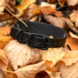 Loch, 1.25" wide Black Leather Dog Collar