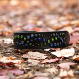 Mini Mardi Gras, 1.5" Wide Black Leather Dog Collar