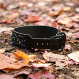 Mini Mardi Gras, 1.5" Wide Black Leather Dog Collar