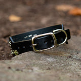 Mini Mardi Gras, 1.5" Wide Black Leather Dog Collar