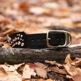 Inverness, 1.5" Wide Black Leather Dog Collar