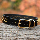 Micro Mardi Gras, 1.25" Wide Black Leather Dog Collar