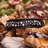 Starlight 1.25" wide, Black Leather Dog Collar