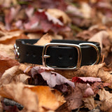 Starlight 1.25" wide, Black Leather Dog Collar