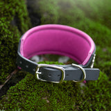 Galaxy, 2" Wide Custom Leather Dog Collar