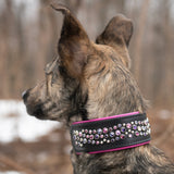 Galaxy, 2" Wide Custom Leather Dog Collar