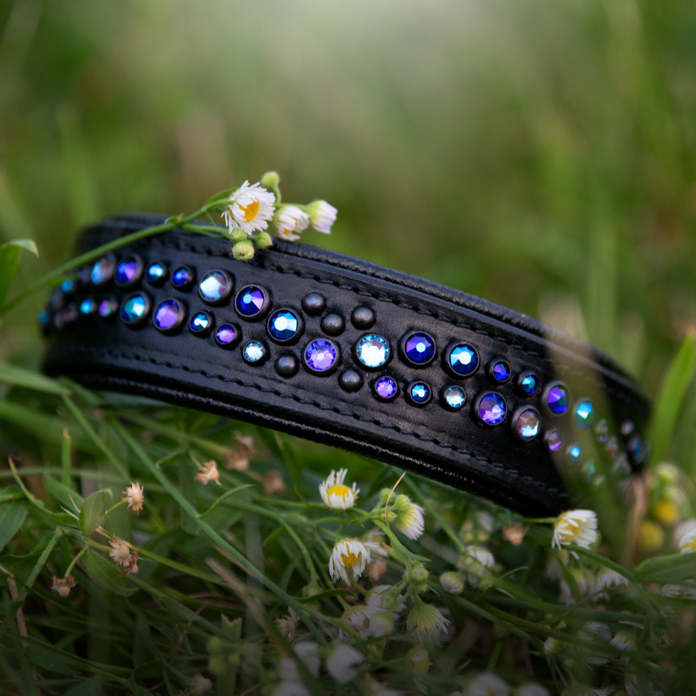 Starlight Galaxy Limited Edition