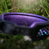 Starlight 1.5" Wide Black Leather Dog Collar, size 16"-19"