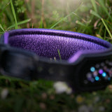 Galaxy, 2" Wide Custom Leather Dog Collar