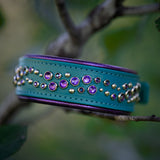 H360 Teal Limited Edition Collar, 1.5" wide