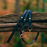 Classic Leash, Standard (5/8" wide)