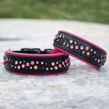 Loch, 1.5" wide Pink & Yellow Black Leather Dog Collar