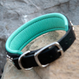 Loch, 1.5" wide Mint & Purple Black Leather Dog Collar