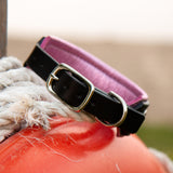 Loch Leather Dog Collar, 1.5" wide Light Pinks on Black Leather, size 12"-15"