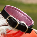 Loch Leather Dog Collar, 1.5" wide Light Pinks on Black Leather, size 12"-15"