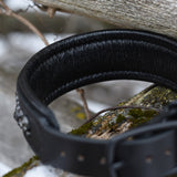 Lunar, 1.5" wide Black Leather Dog Collar, size 14"-17"