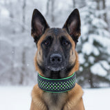 Mini Rio, 2" Wide Custom Leather Dog Collar