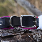 Micro Mardi Gras, 1.5" wide Black Leather Dog Collar, size 14"-17"