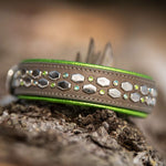 Mini Hex, 1.5" wide, various sizes Dog Collar
