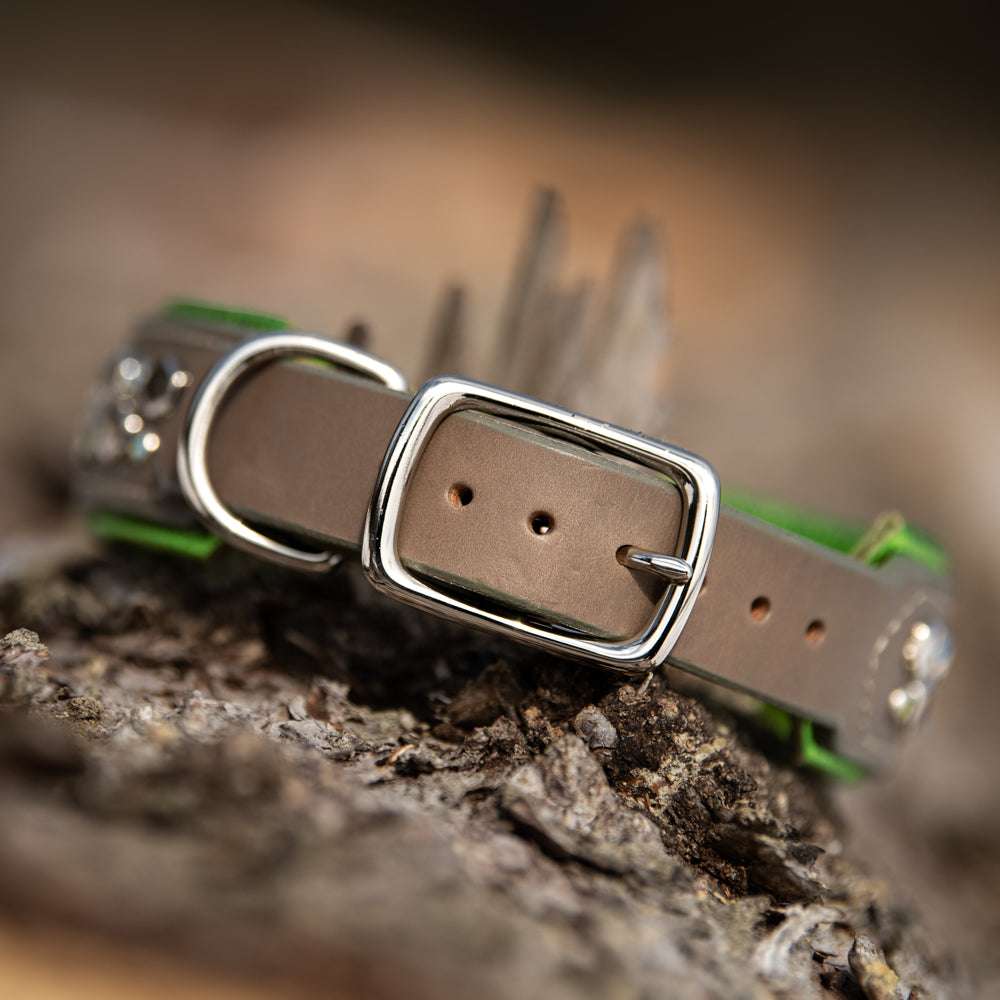 Mini Hex, 1.5" wide, various sizes Dog Collar