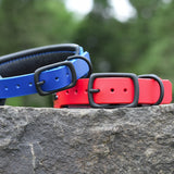Mini Atlas, Limited Edition Red or Blue - 10 Collars