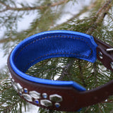 Mini Hex, 1.5" wide Brown Leather Dog Collar, size 12"-15"